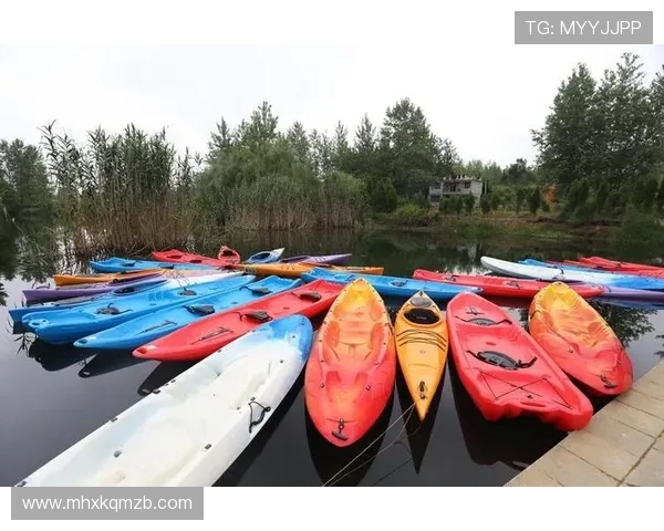 深圳乒乓球队逆袭洲际杯的传奇历程与奋斗精神展现